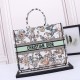 Large Christian Dior Butterfly Book Tote