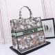 Large Christian Dior Butterfly Book Tote