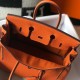 Birkin 30 Poppy Orange Bag