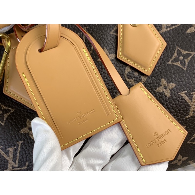 Louis Vuitton Speedy  Bandoulière 25 Monogram