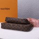 Louis Vuitton LV Multi Pochette Accessoires