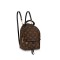 Louis Vuitton LV Palm Springs Mini Backpack