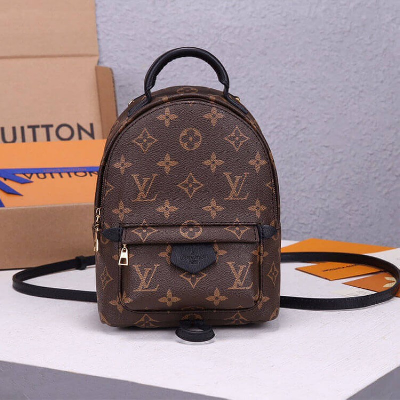 Louis Vuitton LV Palm Springs Mini Backpack