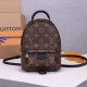 Louis Vuitton LV Palm Springs Mini Backpack