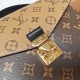 Louis Vuitton Louis Vuitton POCHETTE METIS