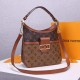 Louis Vuitton LV Hobo Dauphine PM Handbag