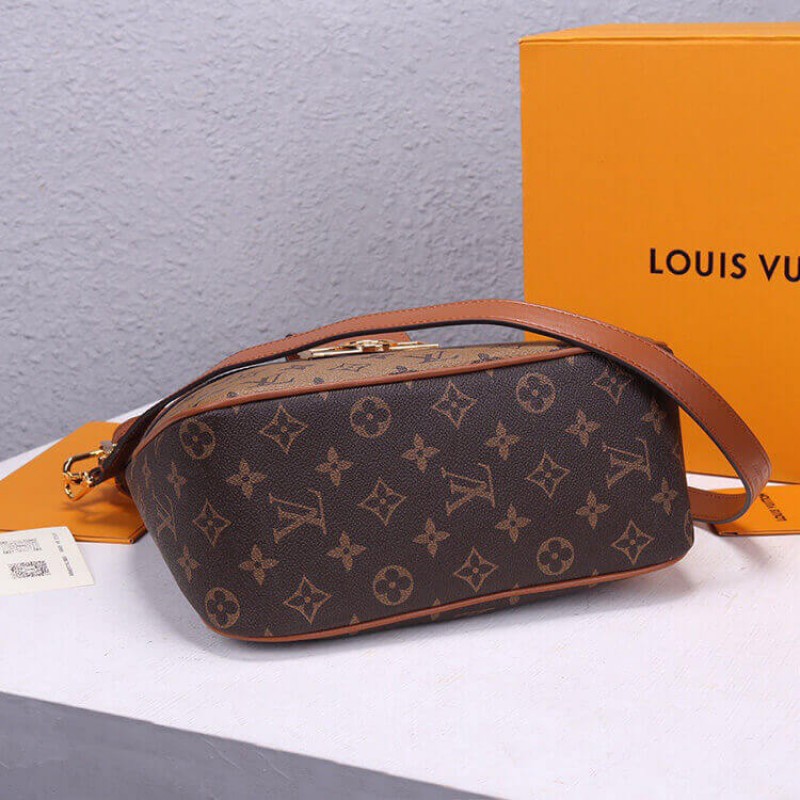 Louis Vuitton LV Hobo Dauphine PM Handbag