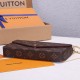 Louis Vuitton LV Felicie Pochette