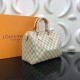 Louis Vuitton SPEEDY 25