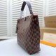 Louis Vuitton LV GRACEFUL PM